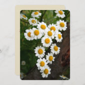 Engagement Bridal shower Invitations Kaart (Voorkant / Achterkant)