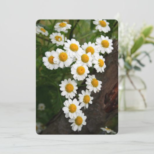 Engagement Bridal shower Invitations Kaart (Staand voorkant)