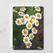 Engagement Bridal shower Invitations Kaart (Voorkant)