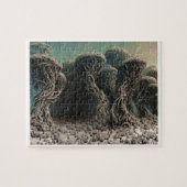 Enge en griezelige puzzel (Horizontaal)