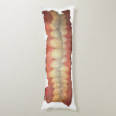 Enge-ezel tanden lichaam kussen (Voorkant Verticaal)