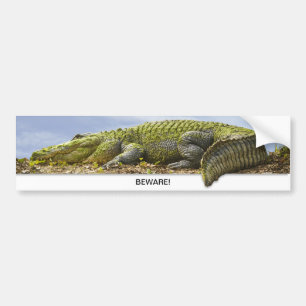Enge Gator Panoramic Photo OOB Effect BEWARE Bumpersticker