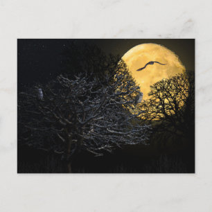 Enge Halloween Nacht met Raaf Kraai Ansichtkaart Briefkaart