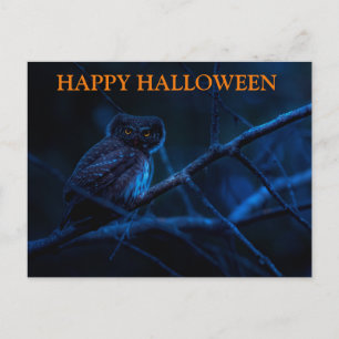 Enge Halloween Nacht met Uilen Ansichtkaart Briefkaart