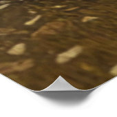 Enge Halloween. Poster (Hoek)