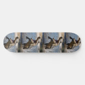 Enge kaken: Australische krokodil springt Persoonlijk Skateboard (Horizontaal)