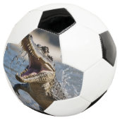 Enge Kaken: Australische Krokodil Springt Voetbal (Drie kwart)