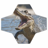 Enge Kaken: Australische Krokodil Springt Voetbal (Enkel)