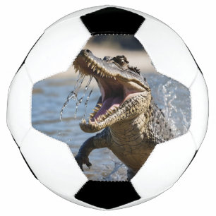 Enge Kaken: Australische Krokodil Springt Voetbal