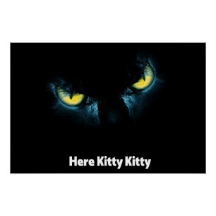 Enge kattenogen op een zwarte achtergrond perfect poster