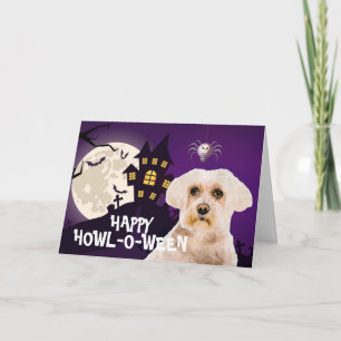 Enge Maltese Terrier Halloween Kaart