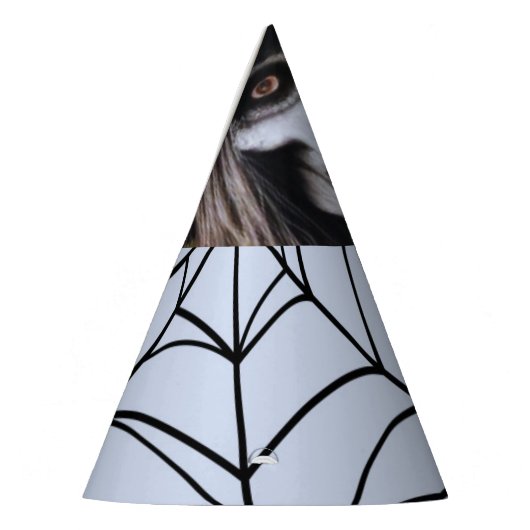 Enge Skelet Heks voor een griezelig Halloween Fees Feesthoedjes (Links)