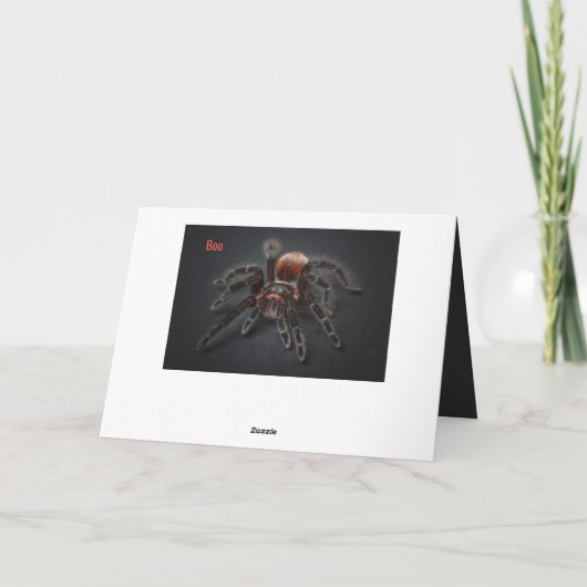 Enge Tarantula Spider Arachnofobie Veroudering Kaart (Achterkant)