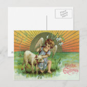Engel Cherub Zon Lam Schaap Briefkaart (Voorkant / Achterkant)