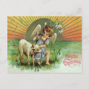 Engel Cherub Zon Lam Schaap Briefkaart