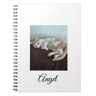 Engel de brutale kat notitieboek