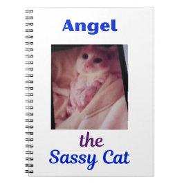 Engel de brutale kat Poes Notitieboek