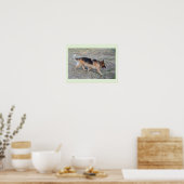 Engel de Elzasser hond Poster (Keuken)