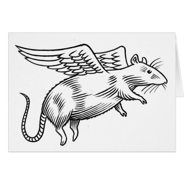 Engel rat (Voorkant Horizontaal)