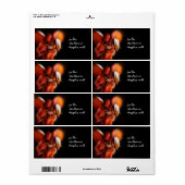 Engel Sint Michael Etiket (Full Sheet)