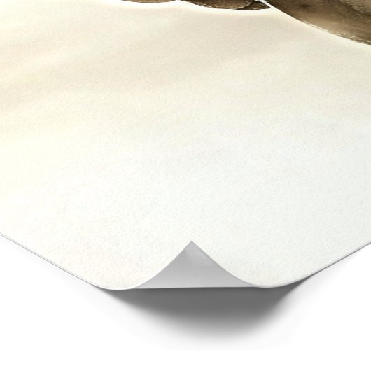 Engel van de pech poster (Hoek)