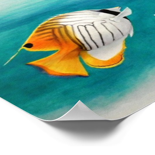 Engel vissen poster (Hoek)