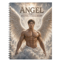 Engel Zilver Hemelgewelf Donkere Bioscoop