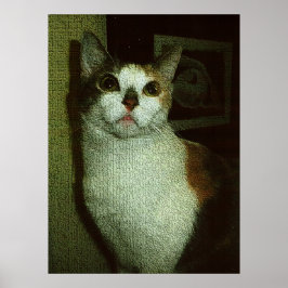 Engelachtige schatje poster