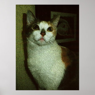 Engelachtige schatje poster