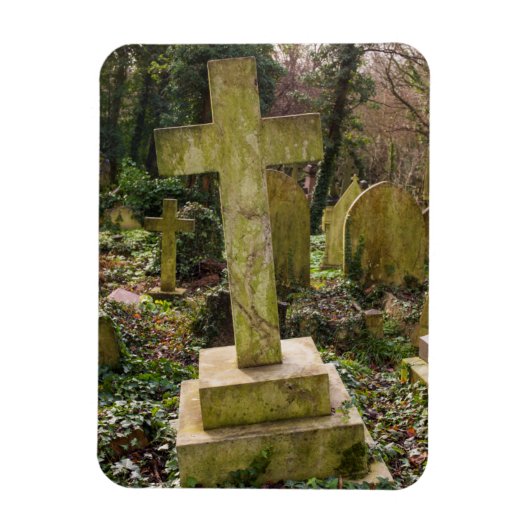 Engeland, Londen, Highgate Cemetery, graf Magneet (Verticaal)