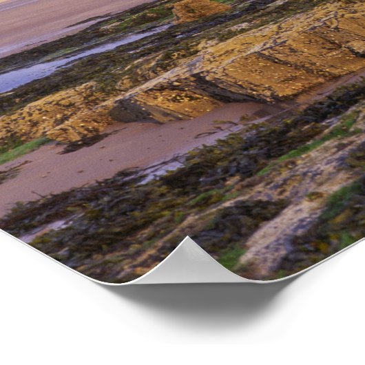 Engeland, Northumberland, Bamburgh Castle Poster (Hoek)