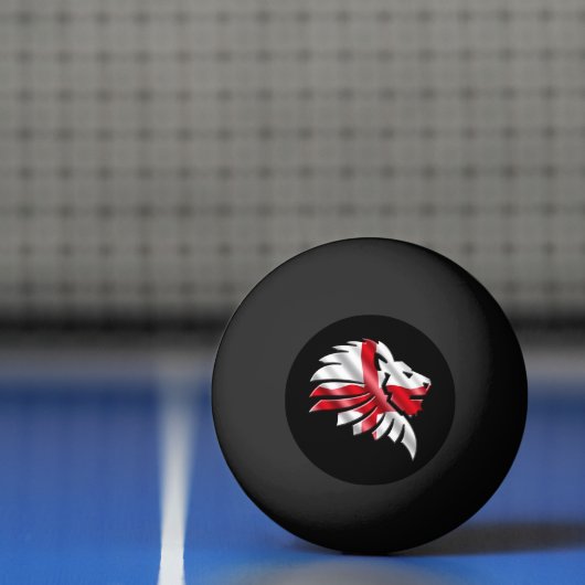 Engeland Pingpongbal (Net)