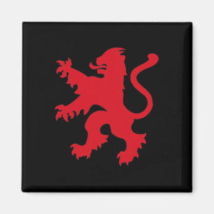 Engeland Voetbalshirt Engeland Voetbal Team Leeuw  Magneet