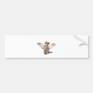 engelen kat bumpersticker