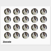 Engelen met whiskers (kitten) Stickers (Vel)