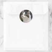 Engelen met whiskers (kitten) Stickers (Tas)