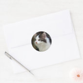 Engelen met whiskers (kitten) Stickers (Envelop)