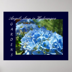 Engelen slapen in Hydrangea tuinen kunstprinten Bl Poster