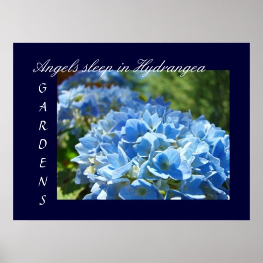 Engelen slapen in Hydrangea tuinen kunstprinten Bl Poster (Voorkant)
