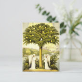 Engelen tijden voorbij briefkaart (Staand voorkant)