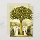 Engelen tijden voorbij briefkaart (Voorkant / Achterkant)