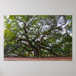 Engeleneik op Johns Island, South Carolina Poster
