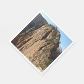 Engelenlanding in Zion National Park Servetten (Hoek)