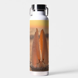 Engelenvleugelschelpen Thermische Tumbler Waterfles