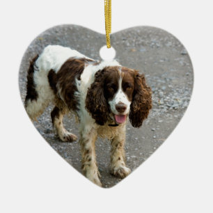 Engels aanzetsteenspaniel full.png keramisch ornament