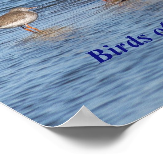 Engels Bird Proverb Poster (Hoek)