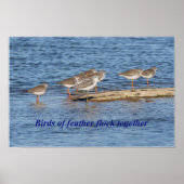 Engels Bird Proverb Poster (Voorkant)