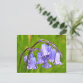 Engels Bluebell Flower Briefkaart (Staand voorkant)