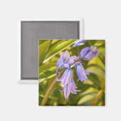 Engels Bluebells Magnet (Voorkant / Achterkant)