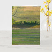 Engels Boerderij Luchtlandschap Kaart (Gele Bloem)